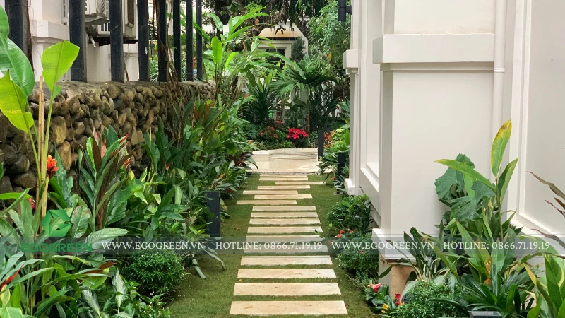 Phong thủy sân vườn biệt thự: 7 loại cây nên tránh trồng để giữ vượng khí và tài lộc